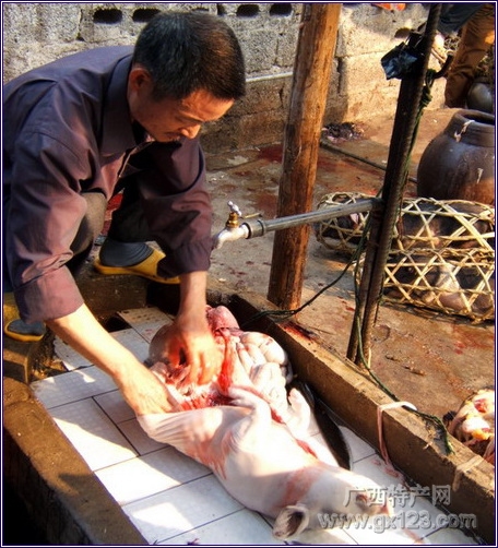 DSCF4276.jpg