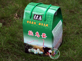 ���������ز������������ʵ�������װ��